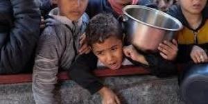 الصحة
      العالمية
      تحذر:
      سوء
      التغذية
      يهدد
      حياة
      آلاف
      الأطفال
      فى
      غزة -شوف 360 الإخباري