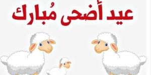 إجازة
      عيد
      الأضحى
      2025
      اقترب
      موعد
      قدومها..
      باقي
      كام
      يوم؟ - شوف 360 الإخباري