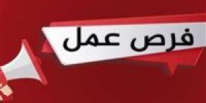فرص
      عمل في
      مجال
      دباغة
      الجلود
      بالأردن..
      الشروط
      والراتب - شوف 360 الإخباري