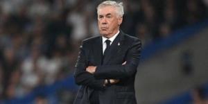 أنشيلوتي:
      تدريب
      البرازيل
      فرصة
      لتجنب
      خيانة
      ريال
      مدريد - شوف 360 الإخباري