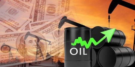 ارتفاع
      سعر
      برميل
      النفط
      الكويتي
      84
      سنتا
      ليبلغ
      66.53
      دولار
      اليوم
      الخميس - شوف 360 الإخباري