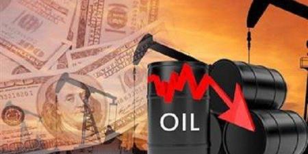 انخفاض
      سعر
      برميل
      النفط
      الكويتي
      2.45
      دولار
      ليبلغ
      64.08
      دولار -شوف 360 الإخباري