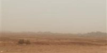 رفع
      درجة
      الاستعداد
      بسبب
      العواصف
      الترابية
      في
      الوادي
      الجديد - شوف 360 الإخباري