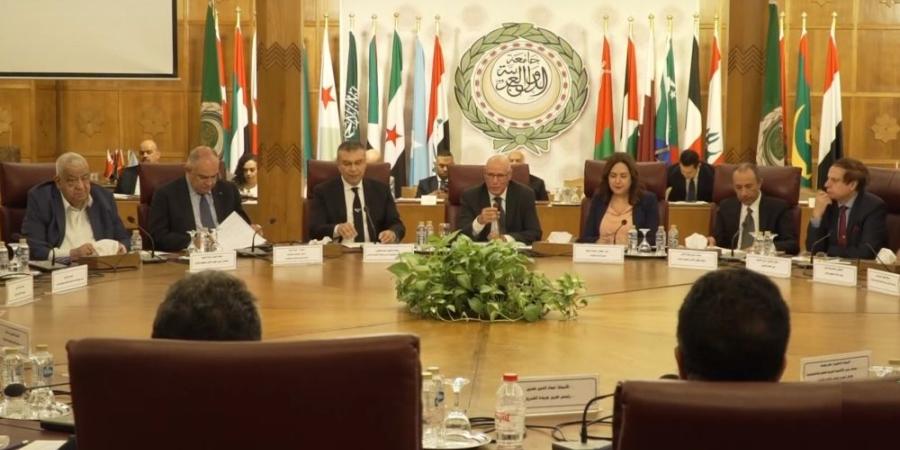 الجامعة العربية: تؤكد أهمية دور الإعلام في منظومة حقوق الإنسان - شوف 360 الإخباري