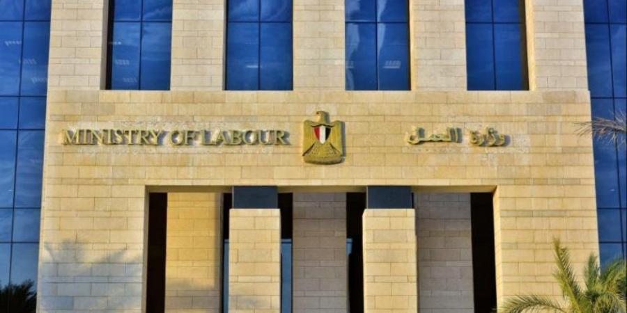 وزير العمل يعلن فرص عمل بالمقاولات فى السعودية بمرتبات تصل لـ6500 ريال شهريا - شوف 360 الإخباري