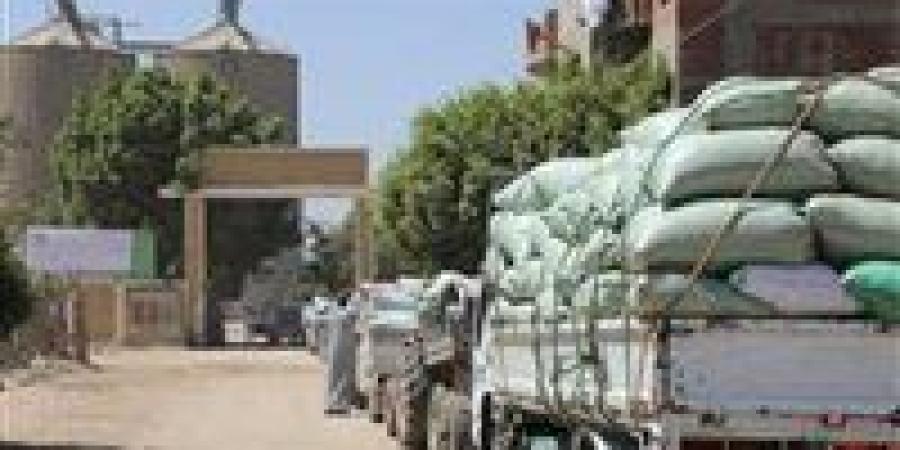 توريد
      173
      ألف
      طن
      قمح
      لشون
      وصوامع
      بني
      سويف
      حتى
      الآن - شوف 360 الإخباري