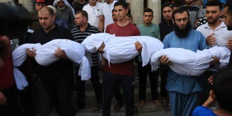 "اليونيسف":
      مقتل
      45
      طفلًا
      في
      غزة
      خلال
      يومين
      وأكثر
      من
      950
      خلال
      شهرين - شوف 360 الإخباري