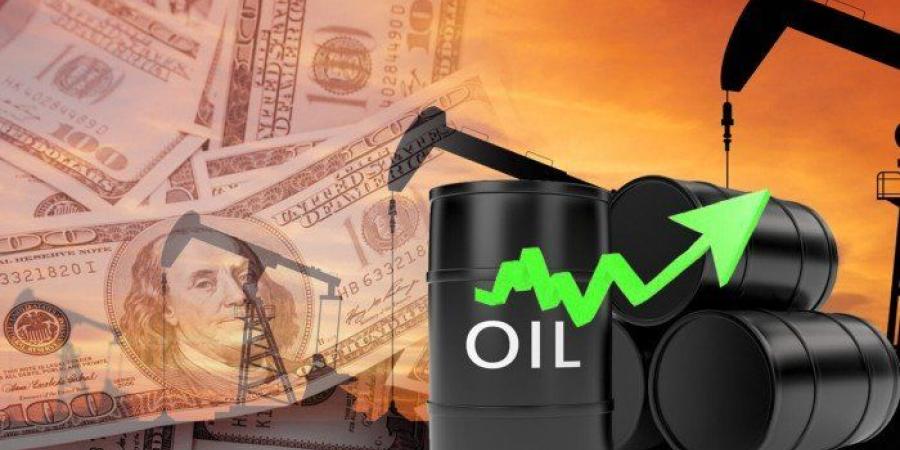 ارتفاع
      سعر
      برميل
      النفط
      الكويتي
      1.04
      دولار
      ليبلغ
      66.40
      دولار
      اليوم
      الخميس -شوف 360 الإخباري