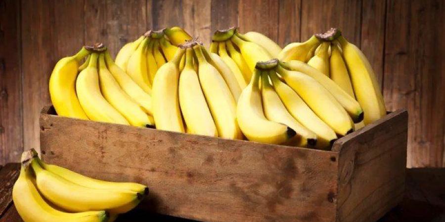 5
      أطعمة
      تساعد
      في
      تنظيم
      ضغط
      الدم..
      تعرف
      عليها - شوف 360 الإخباري