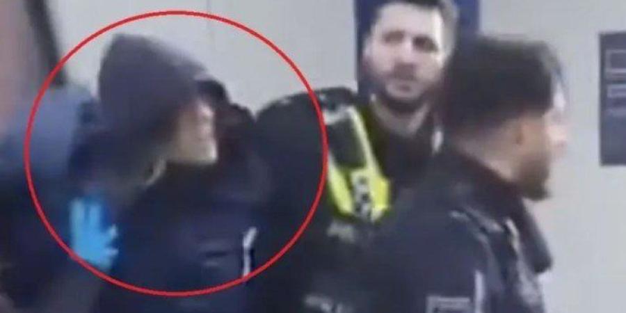 بالفيديو..
      لحظة
      القبض
      على
      منفذة
      هجوم
      الطعن
      في
      هامبورغ -شوف 360 الإخباري