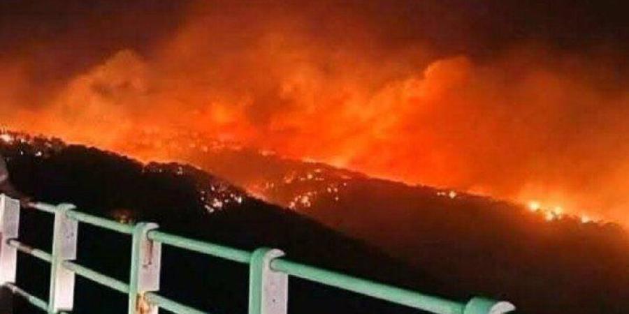 ليبيا..
      السيطرة
      على
      حرائق
      وادي
      الكوف
      وتحذيرات
      من
      تجددها
      مع
      ارتفاع
      درجات
      الحرارة -شوف 360 الإخباري