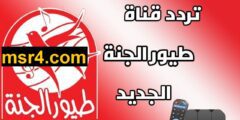 طريقة ضبط .. تردد قناة طيور الجنة Toyor Al Janah الجديد 2023 عرب سات ونايل سات
