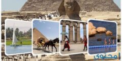 تعرف علي مشروع بحث عن السياحة في مصر بالعناصر الكاملة 2024