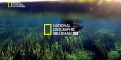 الان تردد قناة ناشيونال جيوغرافيك 2023 National Geographic
