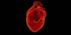 أفضل أطباء القلب بالمدينة – موقع كيف