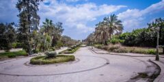 أفضل الانشطة في منتزه البجيري التراثي والسياحي الرياض 2024