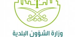 الاستعلام عن مخالفات البلدية برقم السجل التجاري السعودية 1444 – موقع كيف