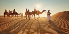 السياحة في الامارات | سفاري
