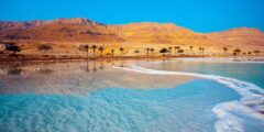 السياحة في البحر الميت | سفاري