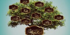 بالصور طريقة الاستعلام عن شجرة العائلة دار المحفوظات المصرية بالرقم القومي 2024