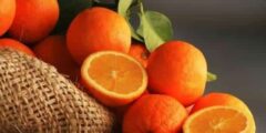 تفسير حلم البرتقال للحامل - شقاوة