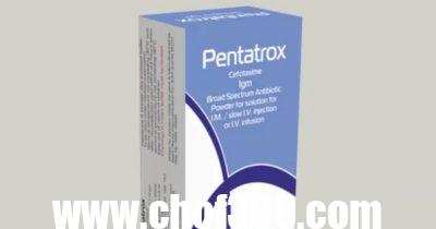 حقن بينتاتروكس لعلاج الالتهابات البكتيرية Pentatrox – شبكة سيناء