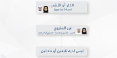 طريقة التسجيل الفرد الواحد في حساب المواطن السعودية – موقع كيف