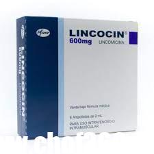 لينكوسين Lincocin حقن مضاد حيوي لعلاج الالتهابات البكتيرية دواعي الاستعمال والأسعار في الصيدليات
