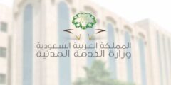منصة بياناتي لتحديث البيانات الوظيفية وزارة الخدمة المدنية السعودية – موقع كيف