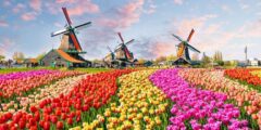 أفضل مدن هولندا للجوء – موقع كيف
