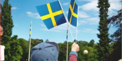تعرف علي راتب اللاجئ فى السويد بعد الإقامة  2024