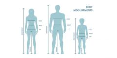 ما هو طول الإنسان الطبيعي – موقع كيف