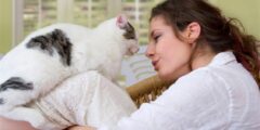 هل ينتقل طفيلي داء القطط من الأم الحامل إلى طفلها – موقع كيف